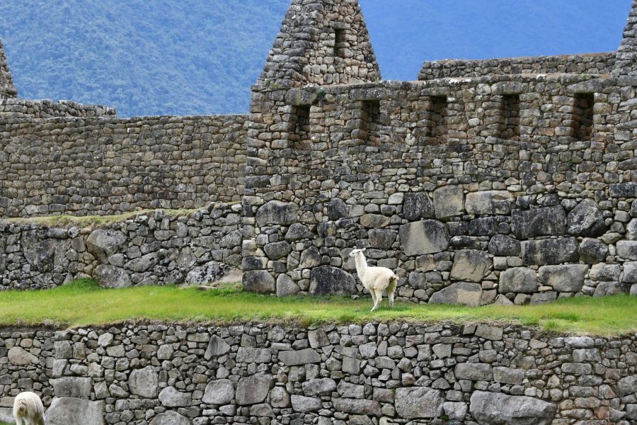 South Peru Circuit II