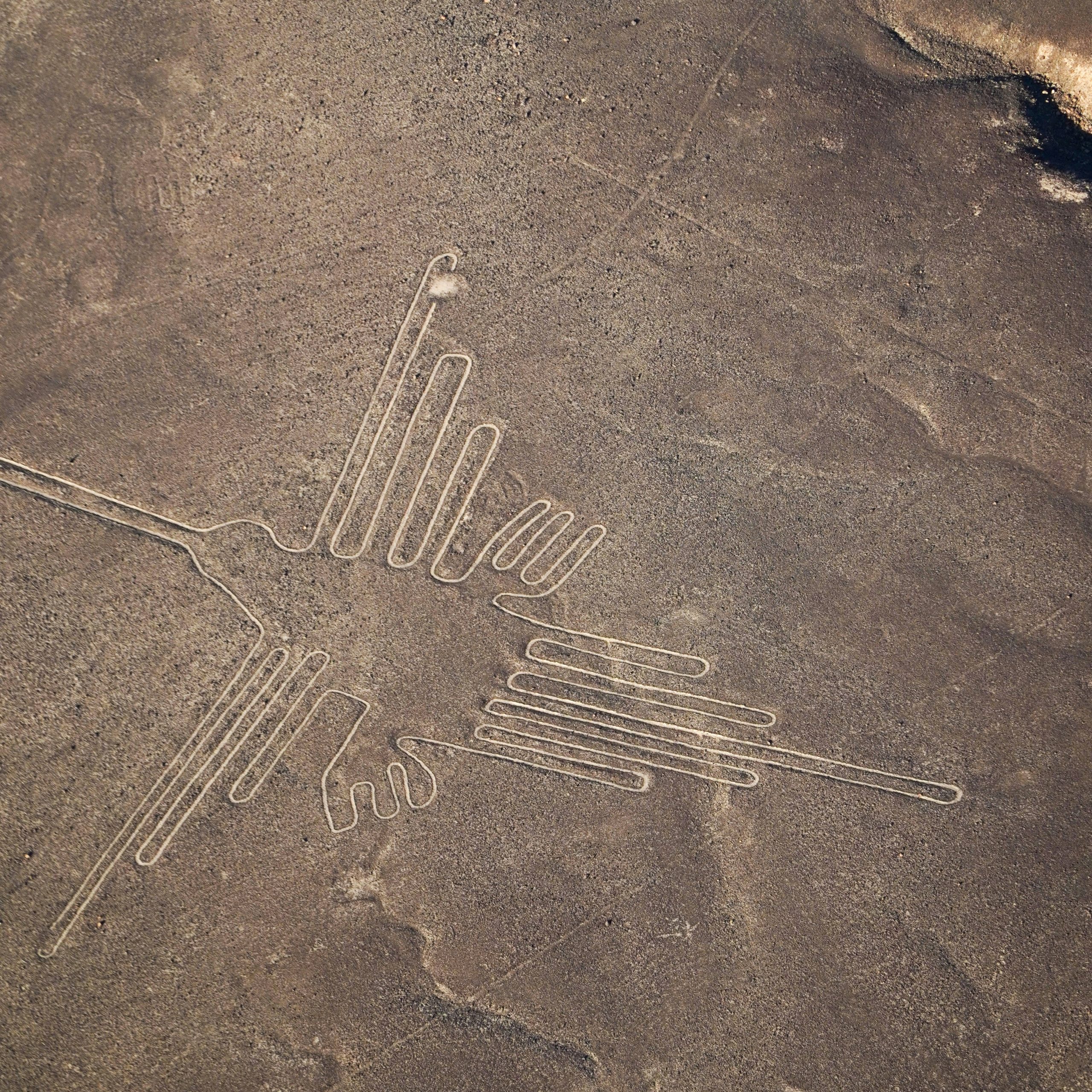 Day 3: Nazca: Overflight of the Nazca Lines - Bus to Lima 
