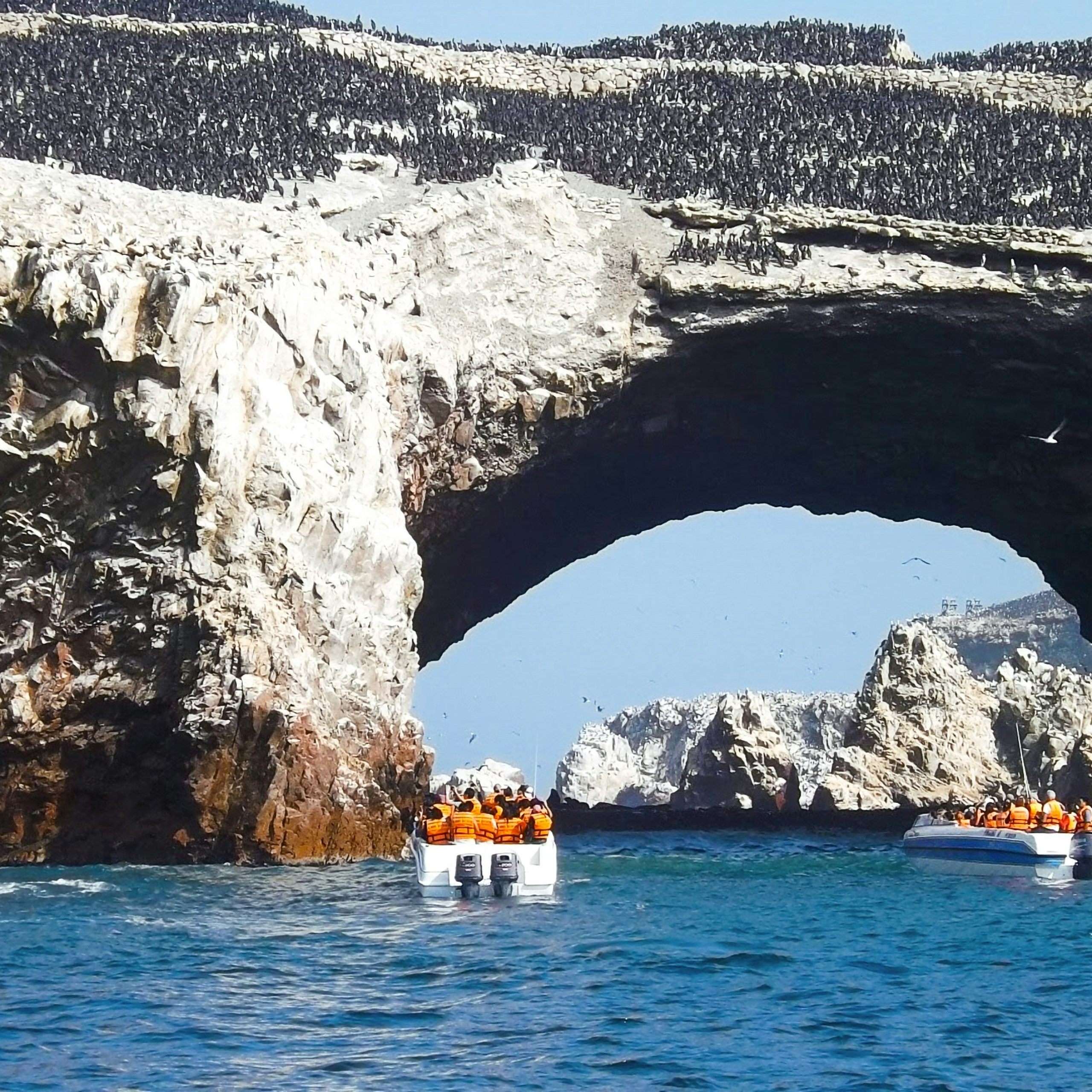 Day 2: Bus Lima/Paracas: Excursion to Ballestas Island - Bus Paracas/Nazca