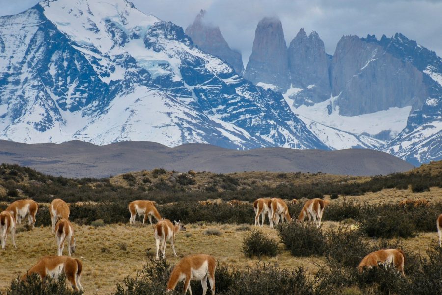 CHILE IN 7 DAYS: FROM SANTIAGO TO THE DESERT